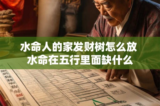 水命人的家发财树怎么放 水命在五行里面缺什么