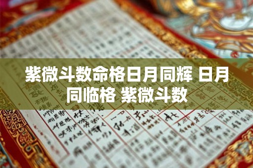 紫微斗数命格日月同辉 日月同临格 紫微斗数 紫微斗数命格日月同辉 日月同临格 紫微斗数