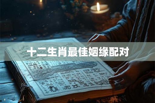 十二生肖最佳姻缘配对 十二生肖最佳姻缘配对