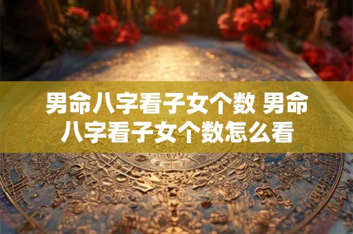 男命八字看子女个数 男命八字看子女个数怎么看 男命八字看子女个数 男命八字看子女个数怎么看