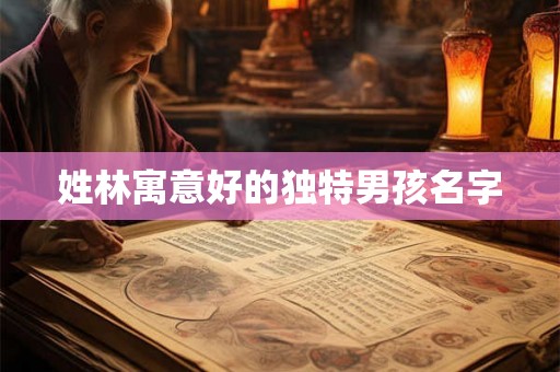 姓林寓意好的独特男孩名字 姓林寓意好的独特男孩名字