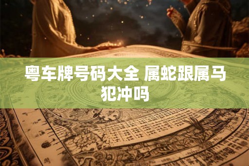 粤车牌号码大全 属蛇跟属马犯冲吗 粤车牌号码大全 属蛇跟属马犯冲吗