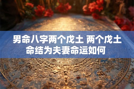 男命八字两个戊土 两个戊土命结为夫妻命运如何 男命八字两个戊土 两个戊土命结为夫妻命运如何