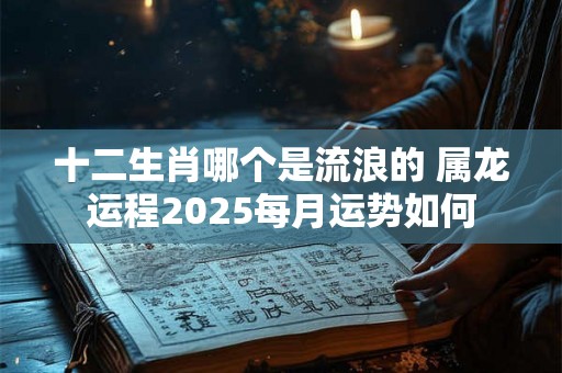十二生肖哪个是流浪的 属龙运程2025每月运势如何