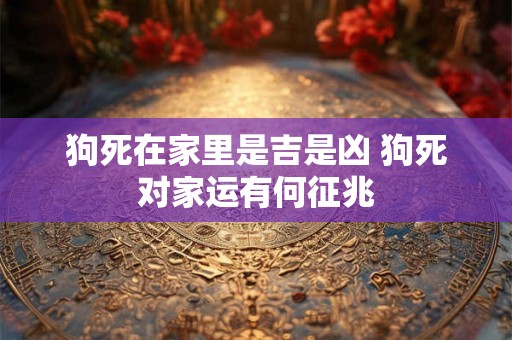 狗死在家里是吉是凶 狗死对家运有何征兆 狗死在家里是吉是凶 狗死对家运有何征兆