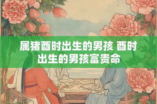 属猪酉时出生的男孩 酉时出生的男孩富贵命 属猪酉时出生的男孩 酉时出生的男孩富贵命
