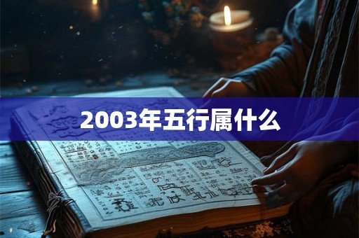 2003年五行属什么 2003年五行属什么