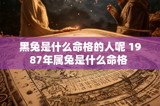 黑兔是什么命格的人呢 1987年属兔是什么命格 