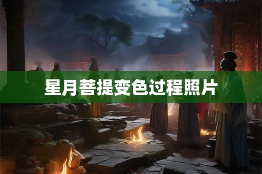 星月菩提变色过程照片