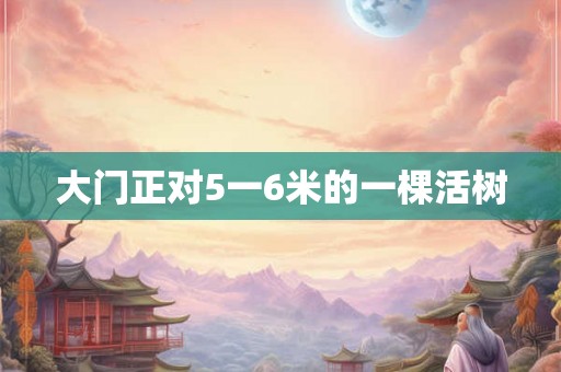 大门正对5一6米的一棵活树 大门正对5一6米的一棵活树