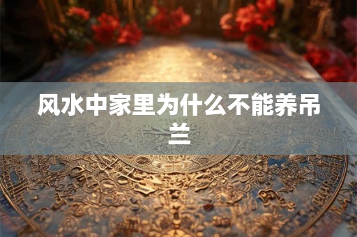 风水中家里为什么不能养吊兰