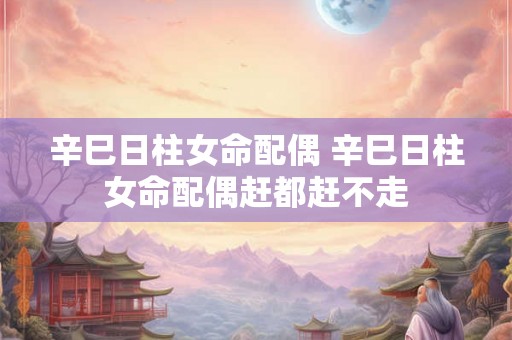 辛巳日柱女命配偶 辛巳日柱女命配偶赶都赶不走 辛巳日柱女命配偶 辛巳日柱女命配偶赶都赶不走
