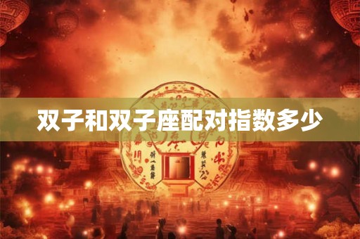 双子和双子座配对指数多少