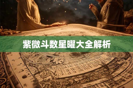紫微斗数星曜大全解析 紫微斗数星曜大全解析