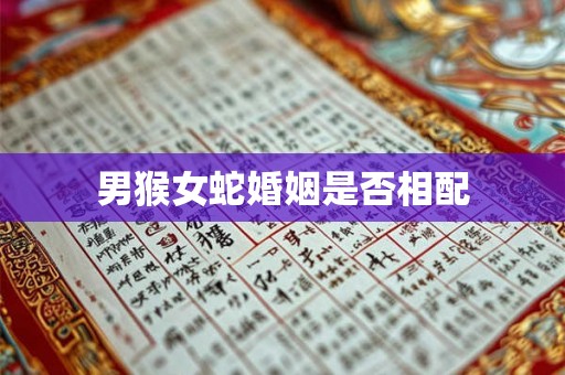 男猴女蛇婚姻是否相配