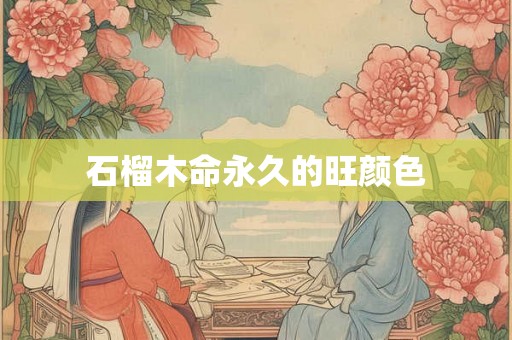 石榴木命永久的旺颜色