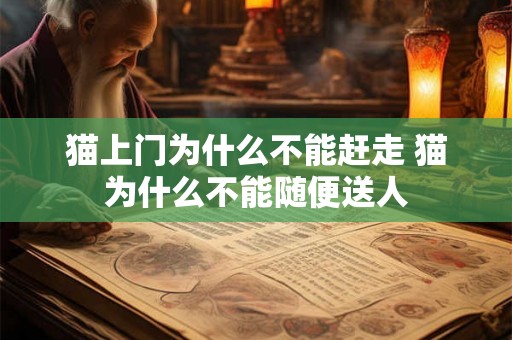 猫上门为什么不能赶走 猫为什么不能随便送人