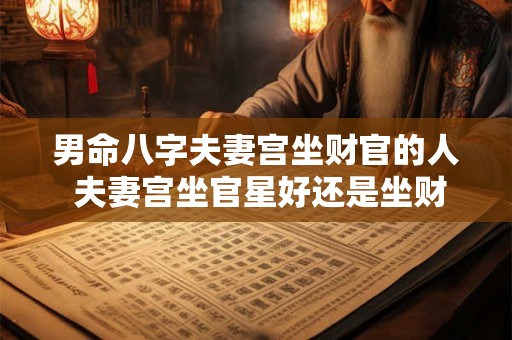 男命八字夫妻宫坐财官的人 夫妻宫坐官星好还是坐财星好 男命八字夫妻宫坐财官的人 夫妻宫坐官星好还是坐财星好