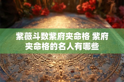 紫薇斗数紫府夹命格 紫府夹命格的名人有哪些 紫薇斗数紫府夹命格 紫府夹命格的名人有哪些