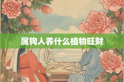 属狗人养什么植物旺财 属狗人养什么植物旺财