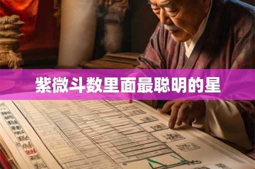 紫微斗数里面最聪明的星 紫微斗数里面最聪明的星