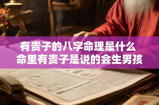 有贵子的八字命理是什么 命里有贵子是说的会生男孩的意思吗