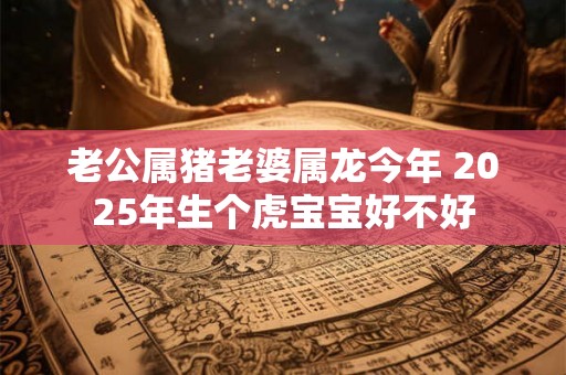 老公属猪老婆属龙今年 2025年生个虎宝宝好不好 老公属猪老婆属龙今年 2025年生个虎宝宝好不好