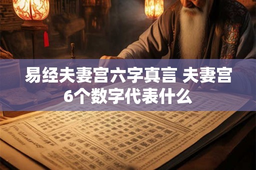 易经夫妻宫六字真言 夫妻宫6个数字代表什么 易经夫妻宫六字真言 夫妻宫6个数字代表什么