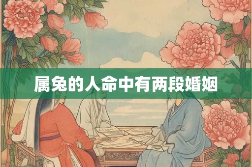 属兔的人命中有两段婚姻 属兔的人命中有两段婚姻