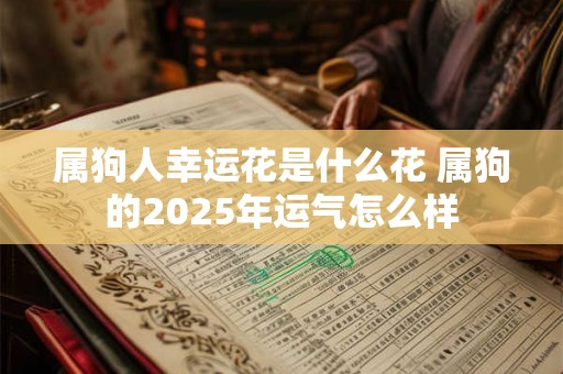 属狗人幸运花是什么花 属狗的2025年运气怎么样 属狗人幸运花是什么花 属狗的2025年运气怎么样