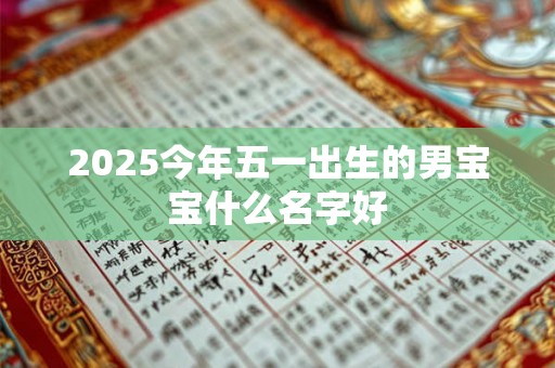 2025今年五一出生的男宝宝什么名字好
