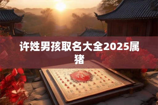 许姓男孩取名大全2025属猪 许姓男孩取名大全2025属猪
