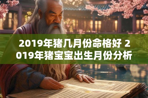 2019年猪几月份命格好 2019年猪宝宝出生月份分析 2019年猪几月份命格好 2019年猪宝宝出生月份分析