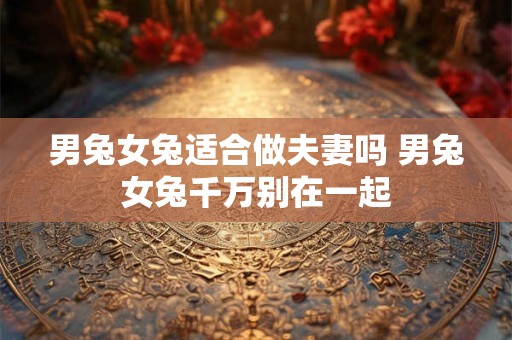男兔女兔适合做夫妻吗 男兔女兔千万别在一起 男兔女兔适合做夫妻吗 男兔女兔千万别在一起