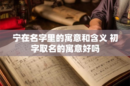 宁在名字里的寓意和含义 初字取名的寓意好吗 宁在名字里的寓意和含义 初字取名的寓意好吗