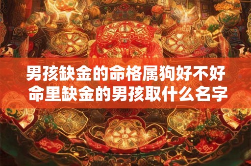男孩缺金的命格属狗好不好 命里缺金的男孩取什么名字好属狗 男孩缺金的命格属狗好不好 命里缺金的男孩取什么名字好属狗