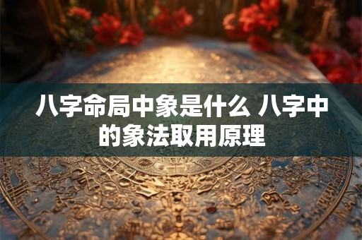 八字命局中象是什么 八字中的象法取用原理