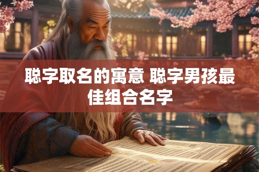 聪字取名的寓意 聪字男孩最佳组合名字 聪字取名的寓意 聪字男孩最佳组合名字