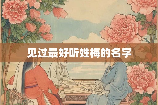 见过最好听姓梅的名字