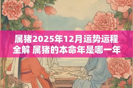 属猪2025年12月运势运程全解 属猪的本命年是哪一年
