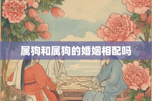 属狗和属狗的婚姻相配吗 属狗和属狗的婚姻相配吗