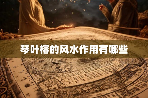 琴叶榕的风水作用有哪些 琴叶榕的风水作用有哪些