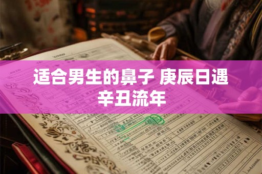 适合男生的鼻子 庚辰日遇辛丑流年 适合男生的鼻子 庚辰日遇辛丑流年