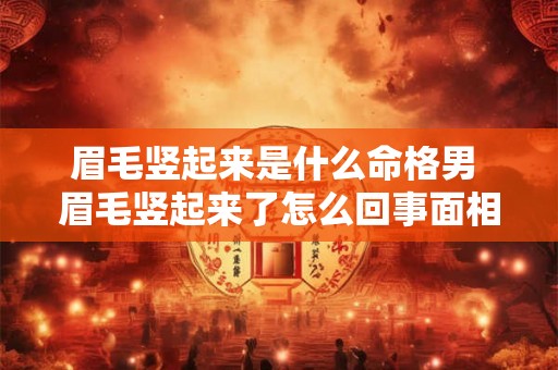 眉毛竖起来是什么命格男 眉毛竖起来了怎么回事面相 眉毛竖起来是什么命格男 眉毛竖起来了怎么回事面相