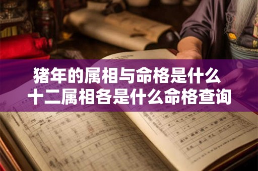 猪年的属相与命格是什么 十二属相各是什么命格查询表 猪年的属相与命格是什么 十二属相各是什么命格查询表