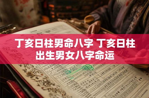 丁亥日柱男命八字 丁亥日柱出生男女八字命运 丁亥日柱男命八字 丁亥日柱出生男女八字命运