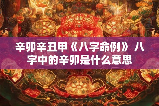 辛卯辛丑甲《八字命例》 八字中的辛卯是什么意思 辛卯辛丑甲《八字命例》 八字中的辛卯是什么意思