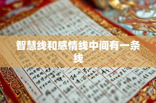 智慧线和感情线中间有一条线