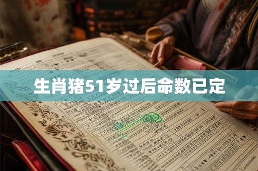 生肖猪51岁过后命数已定 生肖猪51岁过后命数已定
