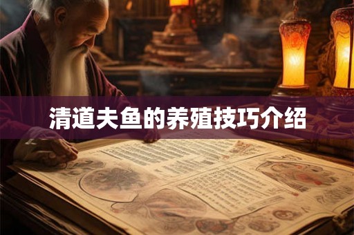 清道夫鱼的养殖技巧介绍